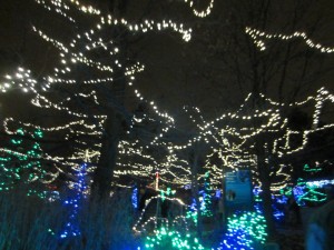 IMG_7804