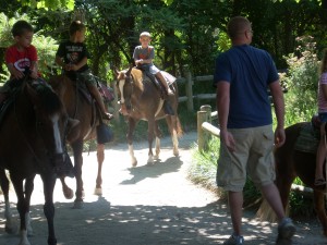 zoo horses kids