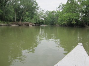 IMG_9132