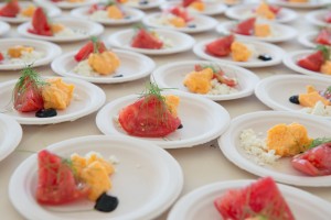 Individual plates tomatoes