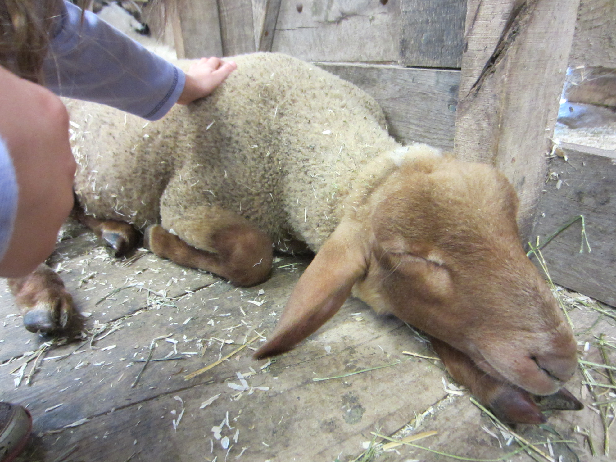 A Fun Family Experience at Conner Prairie