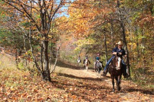 horses_leaves