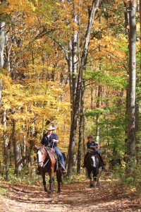 horses_leaves_2