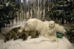 0775RisingStarCasino_KendalRMiller_72dpi