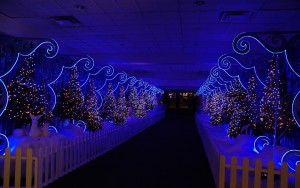 RisingStarCasinoKendalMiller150