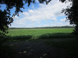 IMG_0701