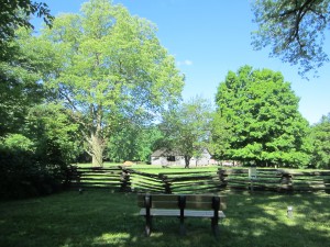 IMG_0677