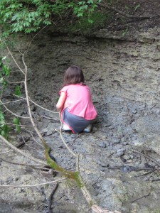 IMG_1022