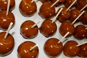 306834_10150331329954596_113756232_n