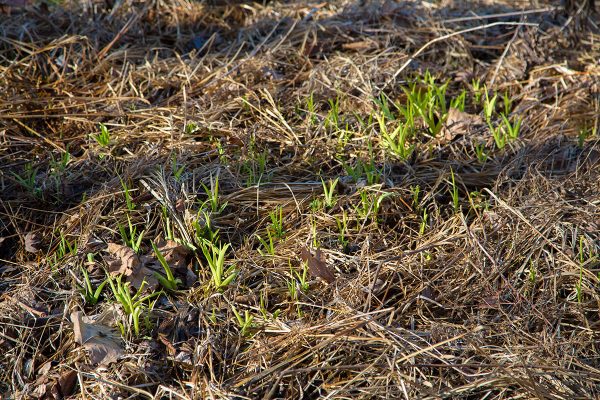 Early signs of spring!