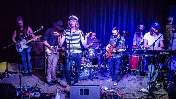 Photo courtesy Cyrus Youngman and the Kingfishers