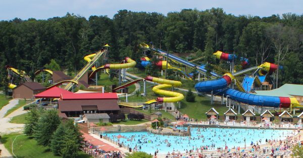 Wildebeest and Mammoth at Holiday World & Splashin' Safari