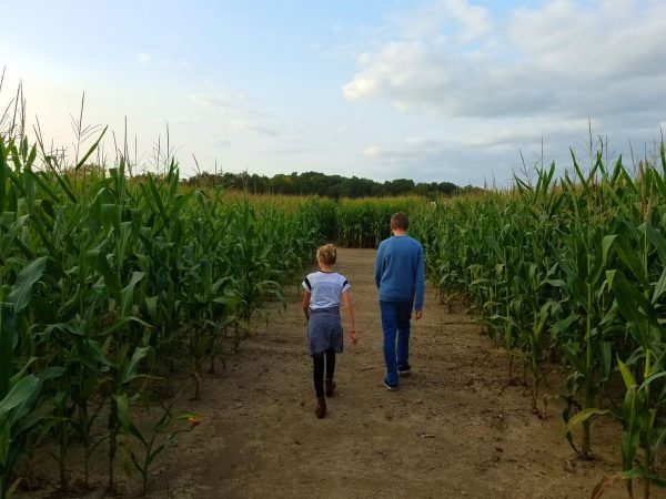 amazing-fall-fun-corn-maze-waterloo-indiana
