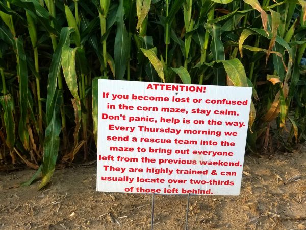 amazing-corn-maze-waterloo-indiana 