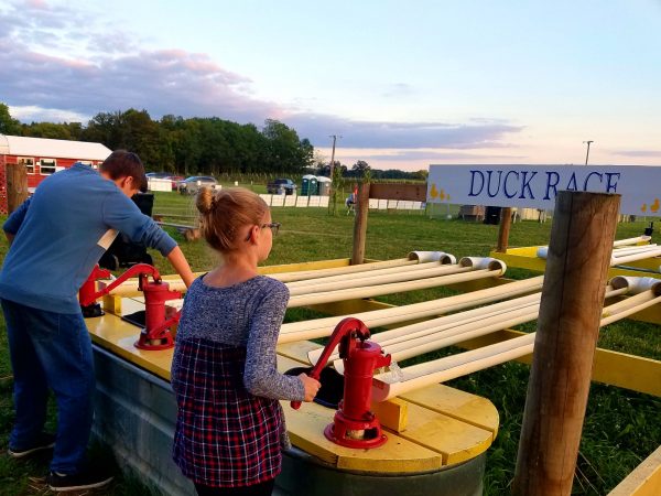 duck-races-amazing-fall-fun-corn-maze-waterloo-indiana 