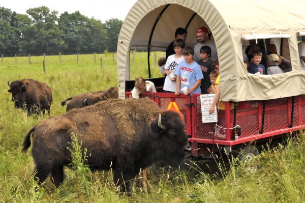 indiana tourist farm