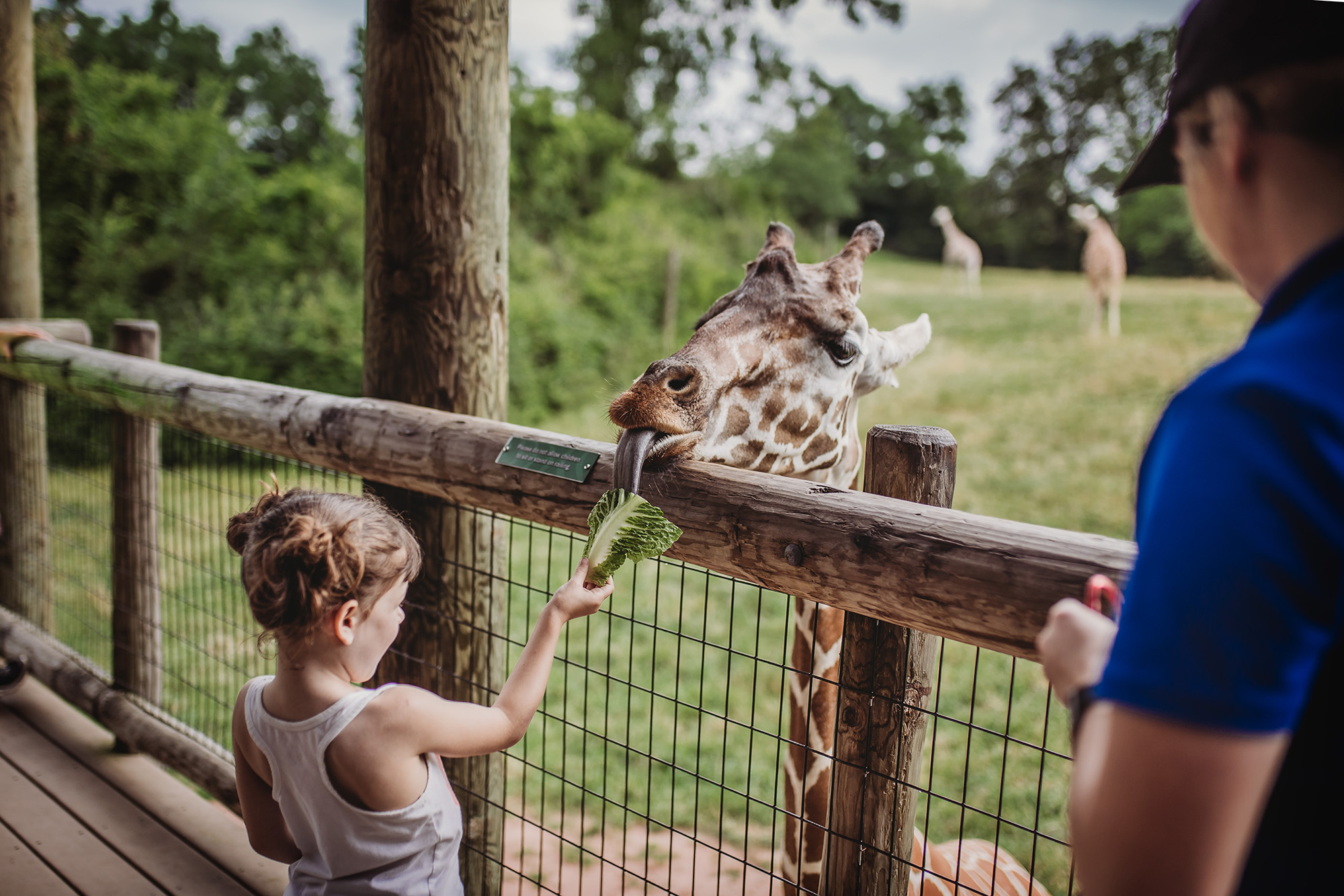 Last summer visited the zoo