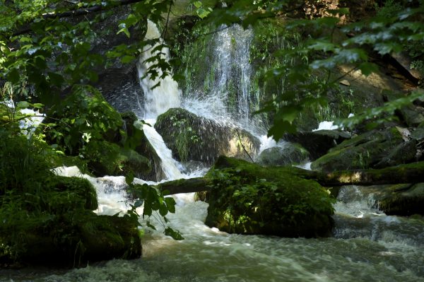 Cave River Valley Natural Area