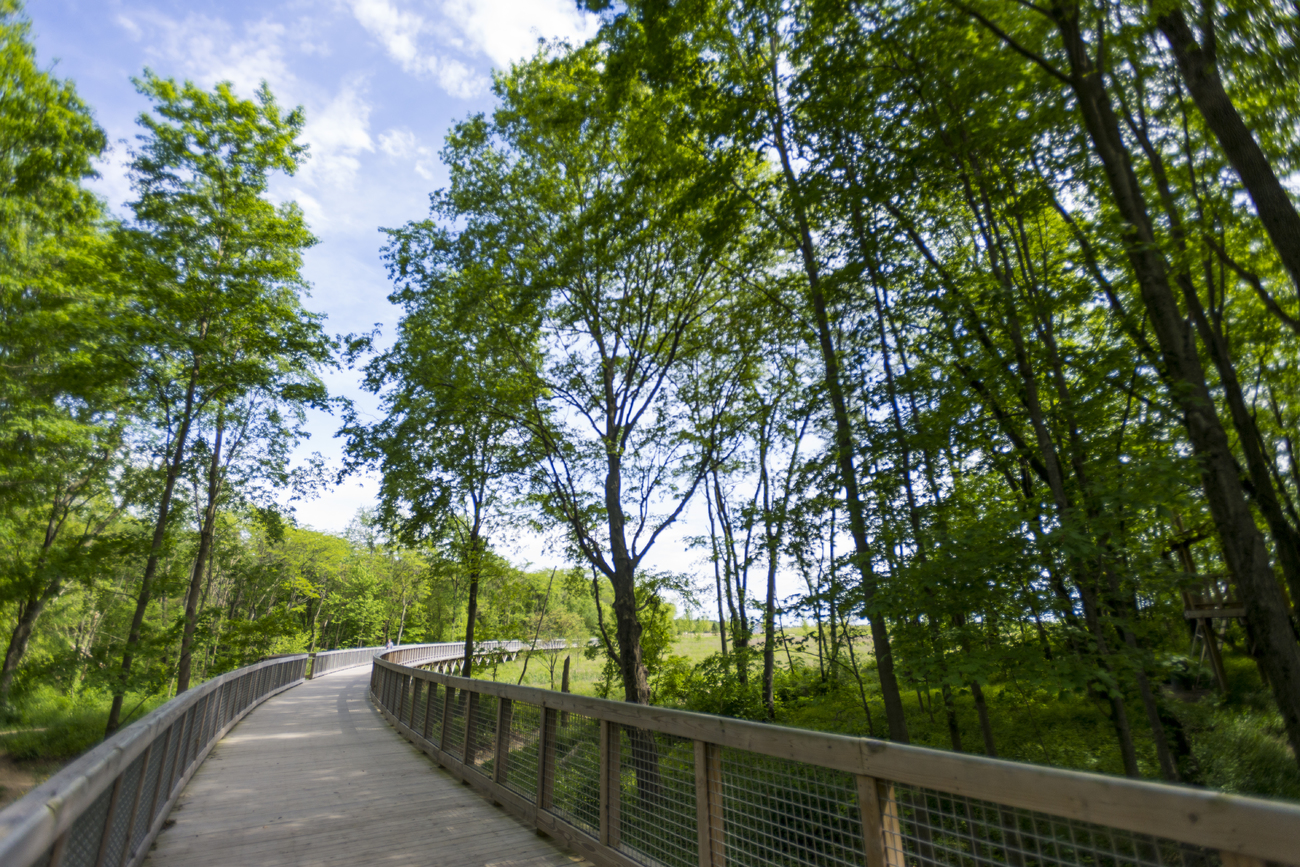 are dogs allowed at flat fork creek park