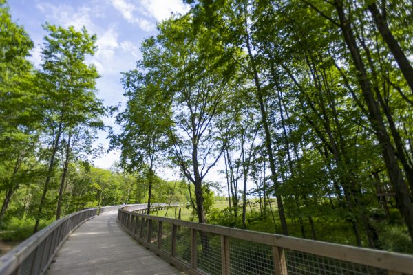 Flat Fork Creek Park