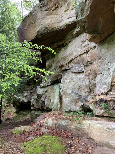 Green's Bluff Nature Preserve