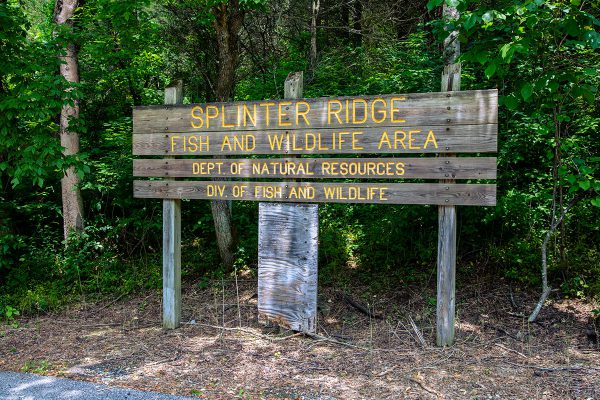 Splinter Ridge Fish and Wildlife Area