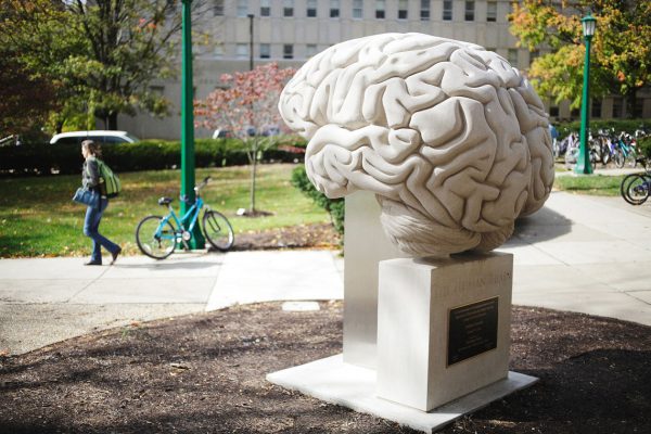 Brain Sculpture, Stranger Things Scavenger Hunt