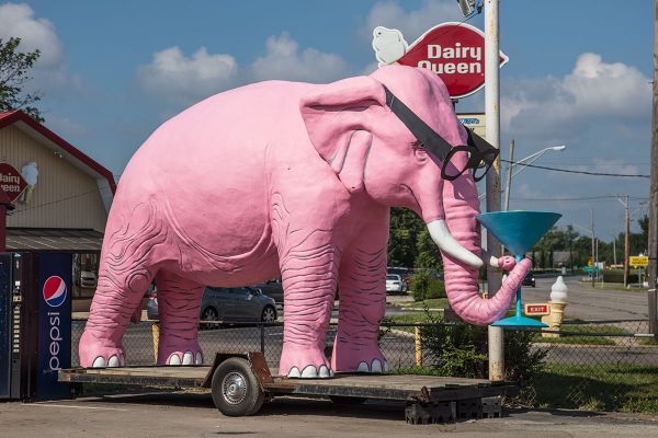 Pink Elephant, Stranger Things Scavenger Hunt