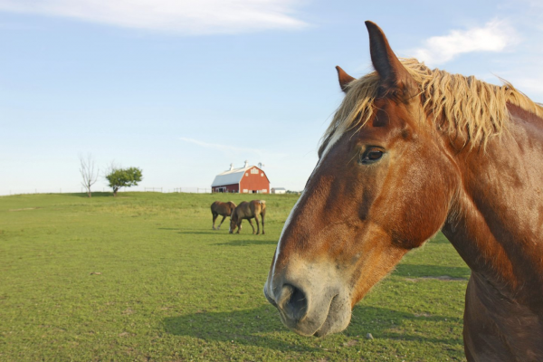 The Farm at Prophetstown State Park