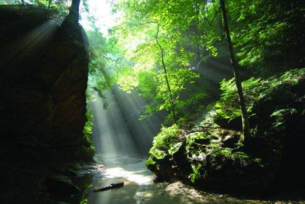 Turkey Run State Park