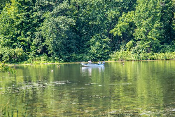 Potato Creek State Park