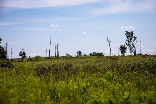 Potato Creek State Park