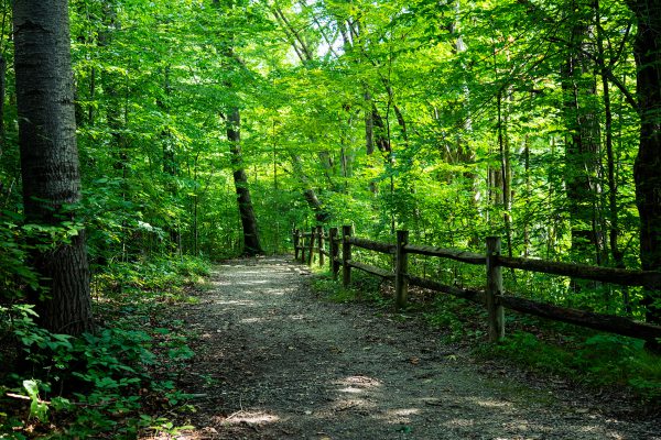 Potato Creek State Park