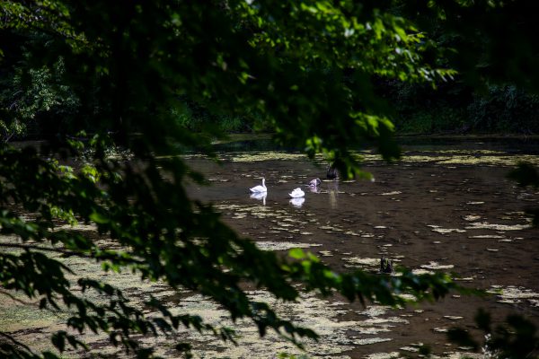 Potato Creek State Park