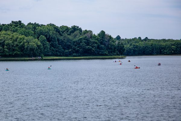 Potato Creek State Park