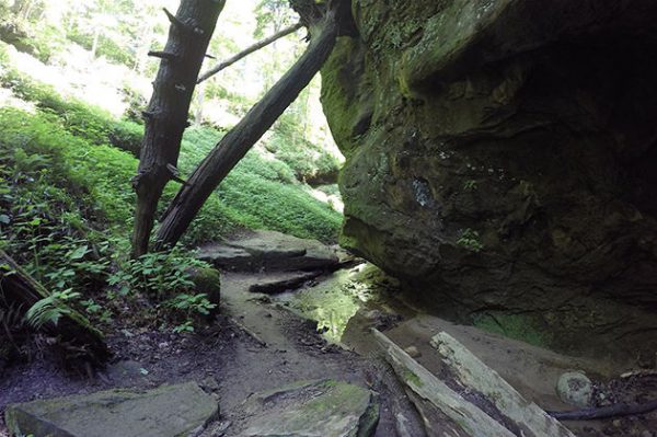 Best Indiana Hiking Trails, Hemlock Cliffs