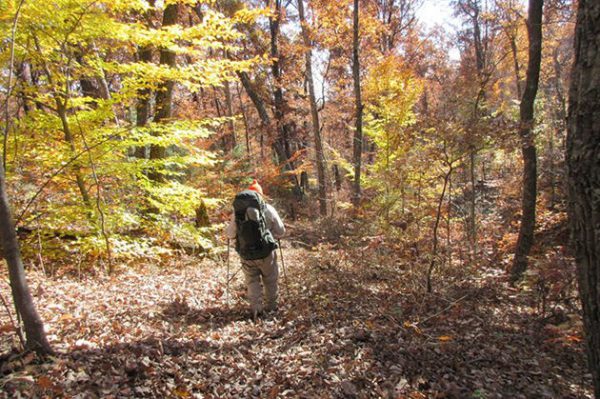 Best Indiana Hiking Trails, Knobstone Trail