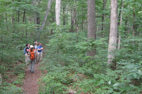 Best Indiana Hiking Trails, Low Gap Trail 