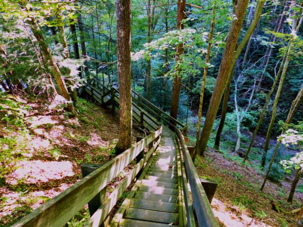 Shades State Park, hiking trail, Best of Indiana