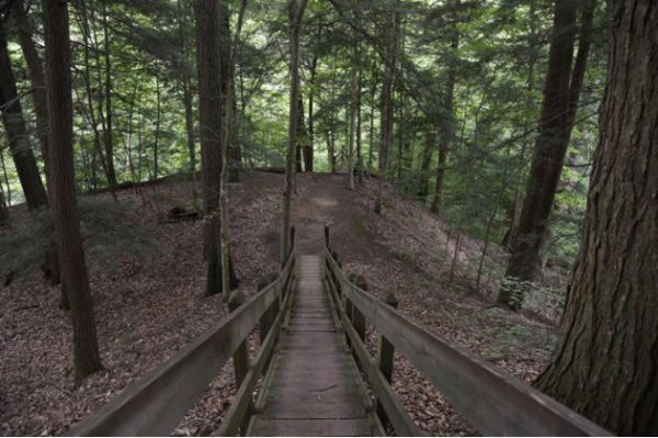 Pine Hill Nature Preserve, Social Distancing