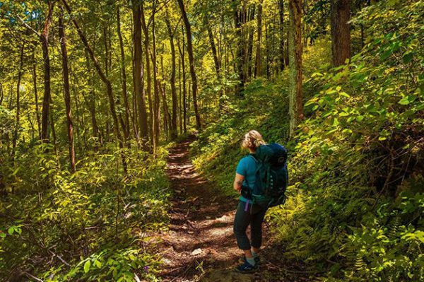 Clifty Falls State Park, Social Distancing