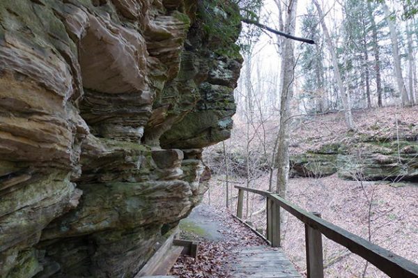 Trail 2 at Turkey Run State Park