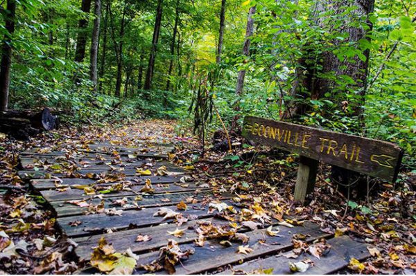 Best Indiana Hiking Trails, Wesselman Woods Trails