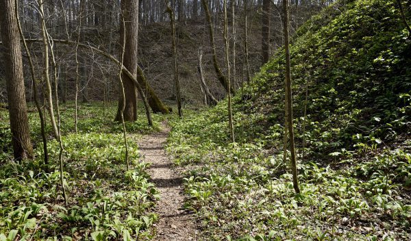 Big Walnut Nature Preserve, Social Distancing