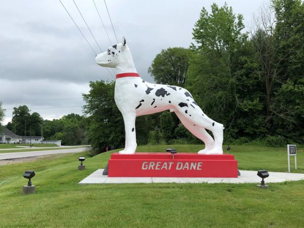 Champ of Great Dane, Roadside Attractions