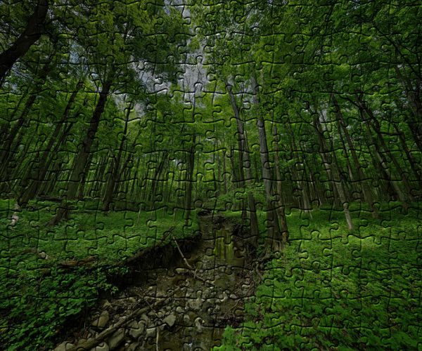 Ritchey Woods Nature Preserve, Jigsaw Puzzle