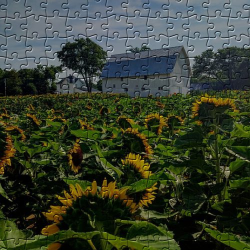 Spencer Farm, Jigsaw Puzzles