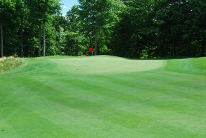 Hole 10 at Noble Hawk Golf Links, Indiana Golf