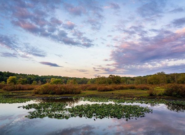 Tippecanoe River State Park, Water Activities in Indiana