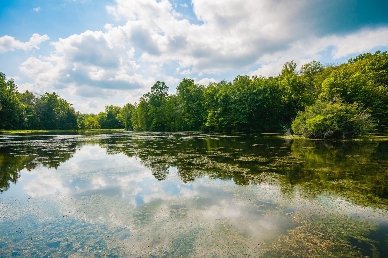 Nature Exploration is Located Just Minutes From Downtown at Indy's Eagle  Creek Park, eagle creek 